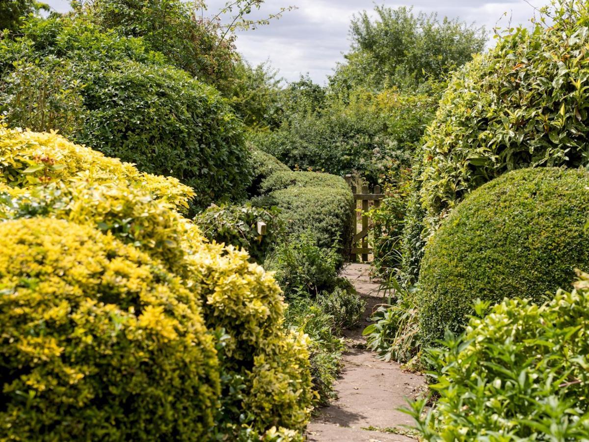 Pass The Keys Cosy Cottage With Views Over The Shropshire Hills لودلو المظهر الخارجي الصورة